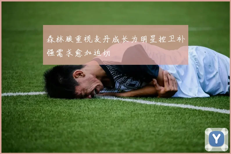 森林狼重视麦丹成长为明星控卫补强需求愈加迫切
